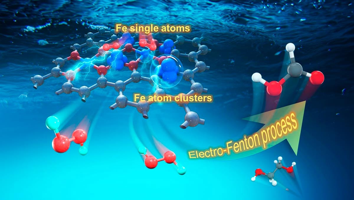 Electrocatalyst Breakthrough for Efficient H2O2 Production and Biomass Upgrading