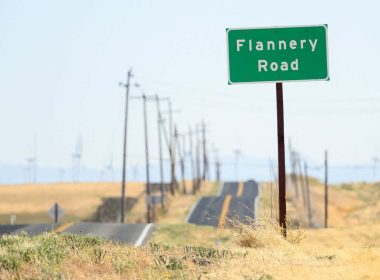 The weird tale of California Forever, a tech billionaire instant city The weird tale of California Forever, a tech billionaire instant city