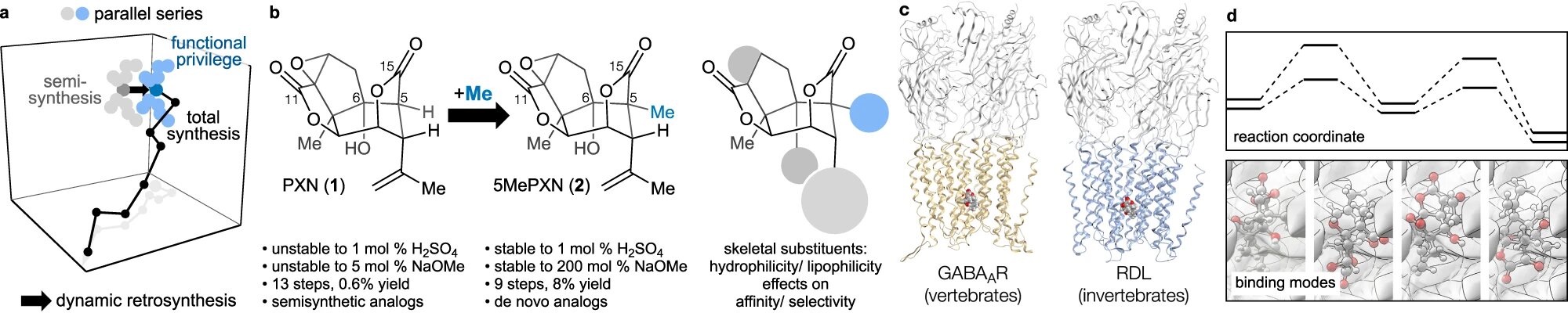 Researchers modify traditional poison used by Asian fishermen for potential neurological drugs