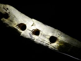Mammoth tusk tool may have been used to make ropes 37,000 years ago Mammoth tusk tool may have been used to make ropes 37,000 years ago