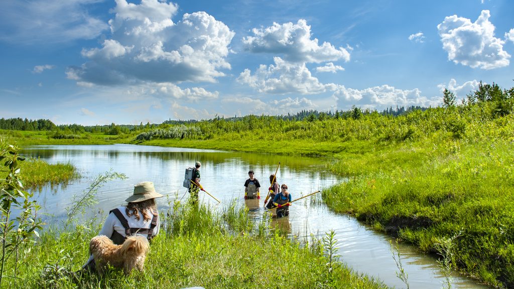 Shaping a sustainable and innovative future