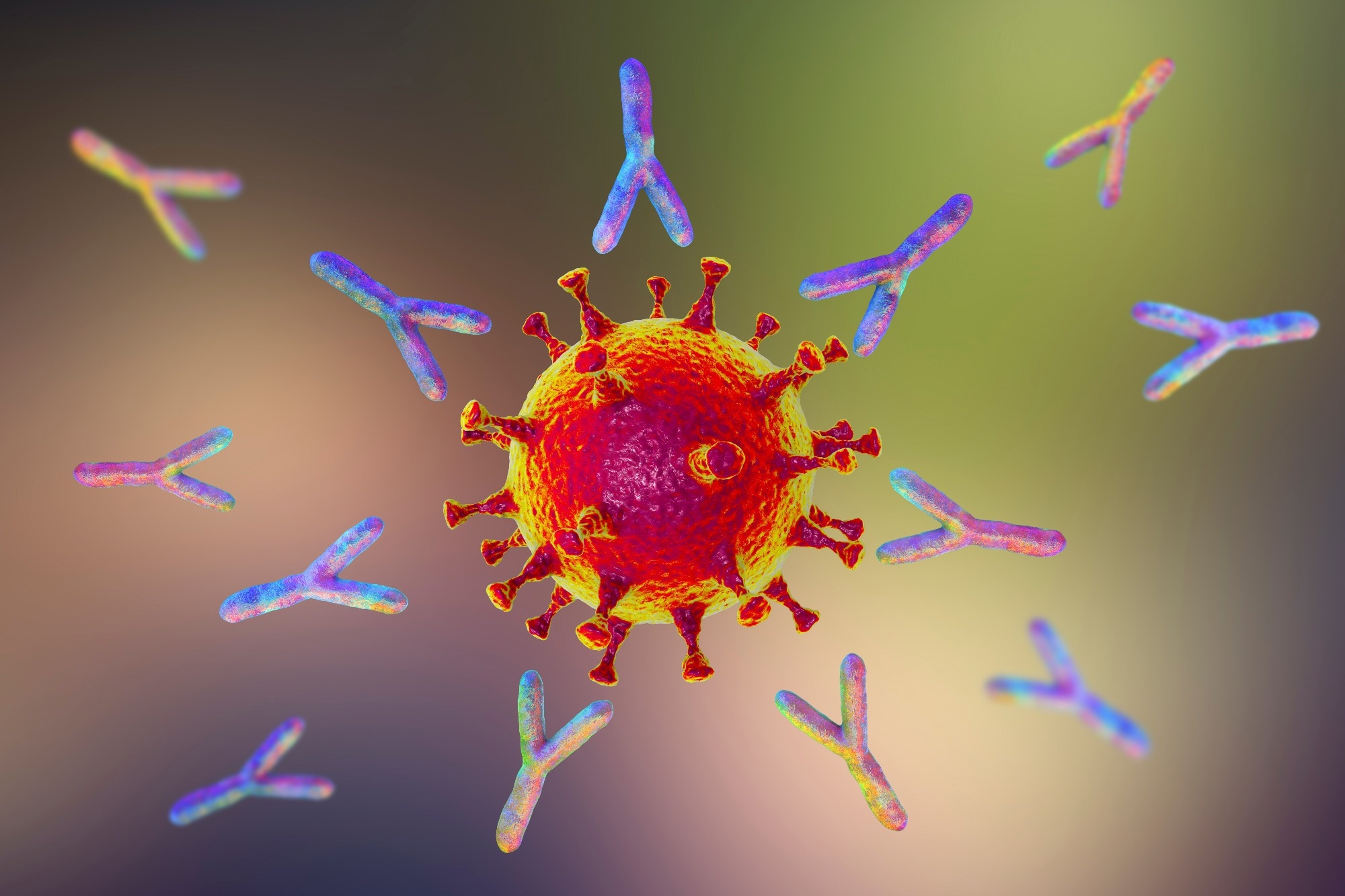 SARS-CoV-2-infection and vaccine-induced antibodies wane initially but stabilize for lasting protection