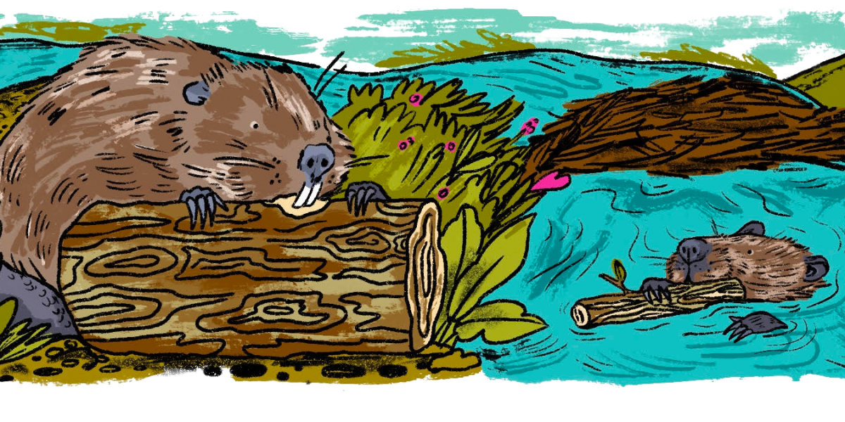 We are beavers all | MIT Technology Review