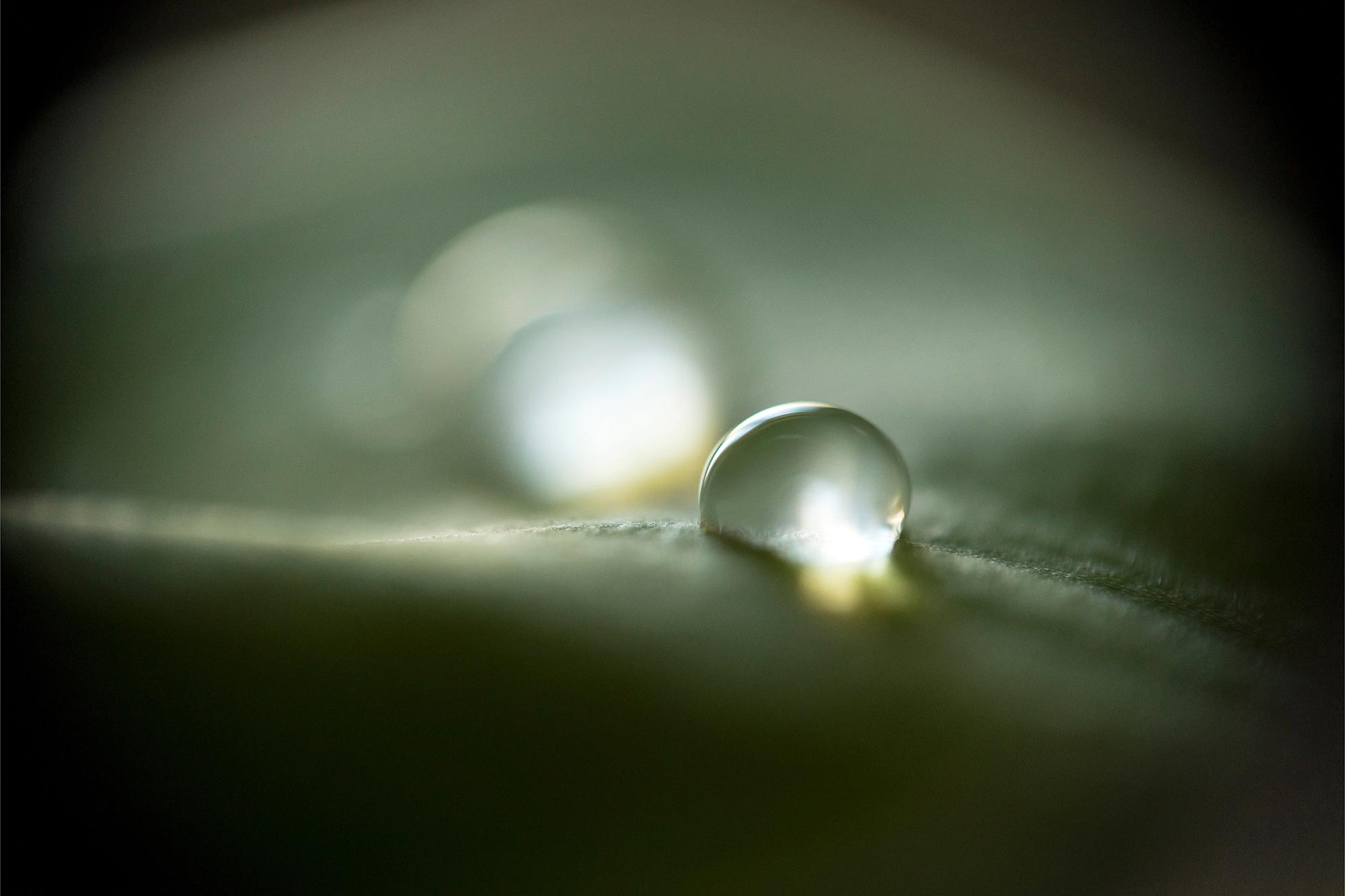 New Study Synthesizes Key Compound in Lab