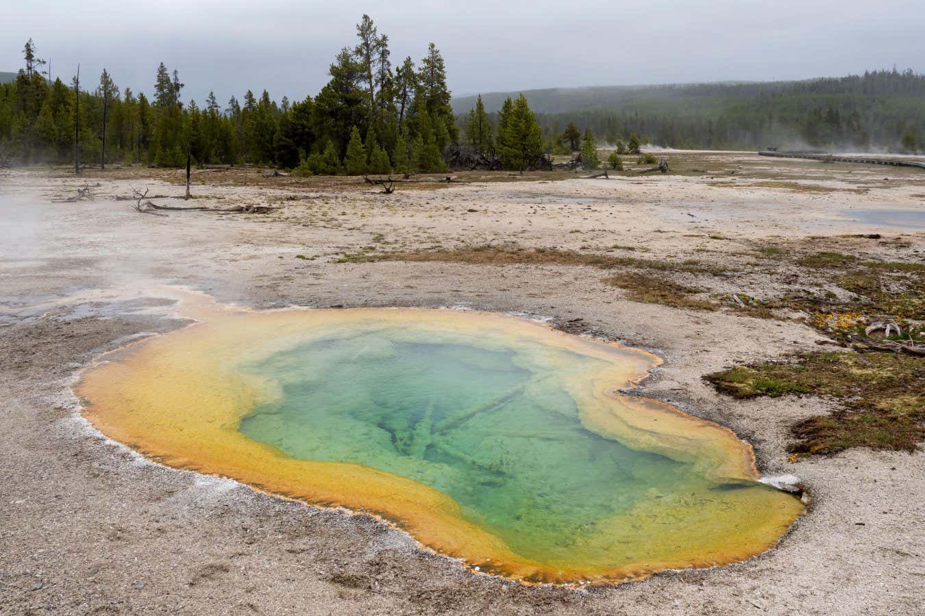 Crucial chemical for life can form in conditions found on early Earth