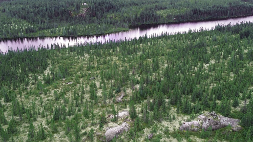 Leading the quest for lithium in Canada