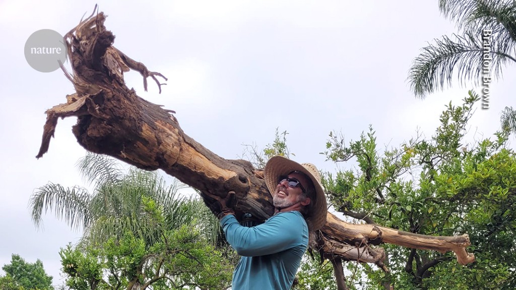 How my academic sabbatical offered a chance to hit the restart button on my career