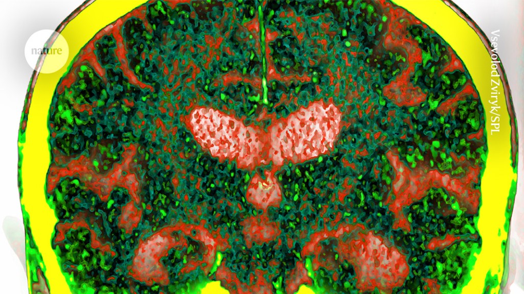 blood proteins reveal at-risk people