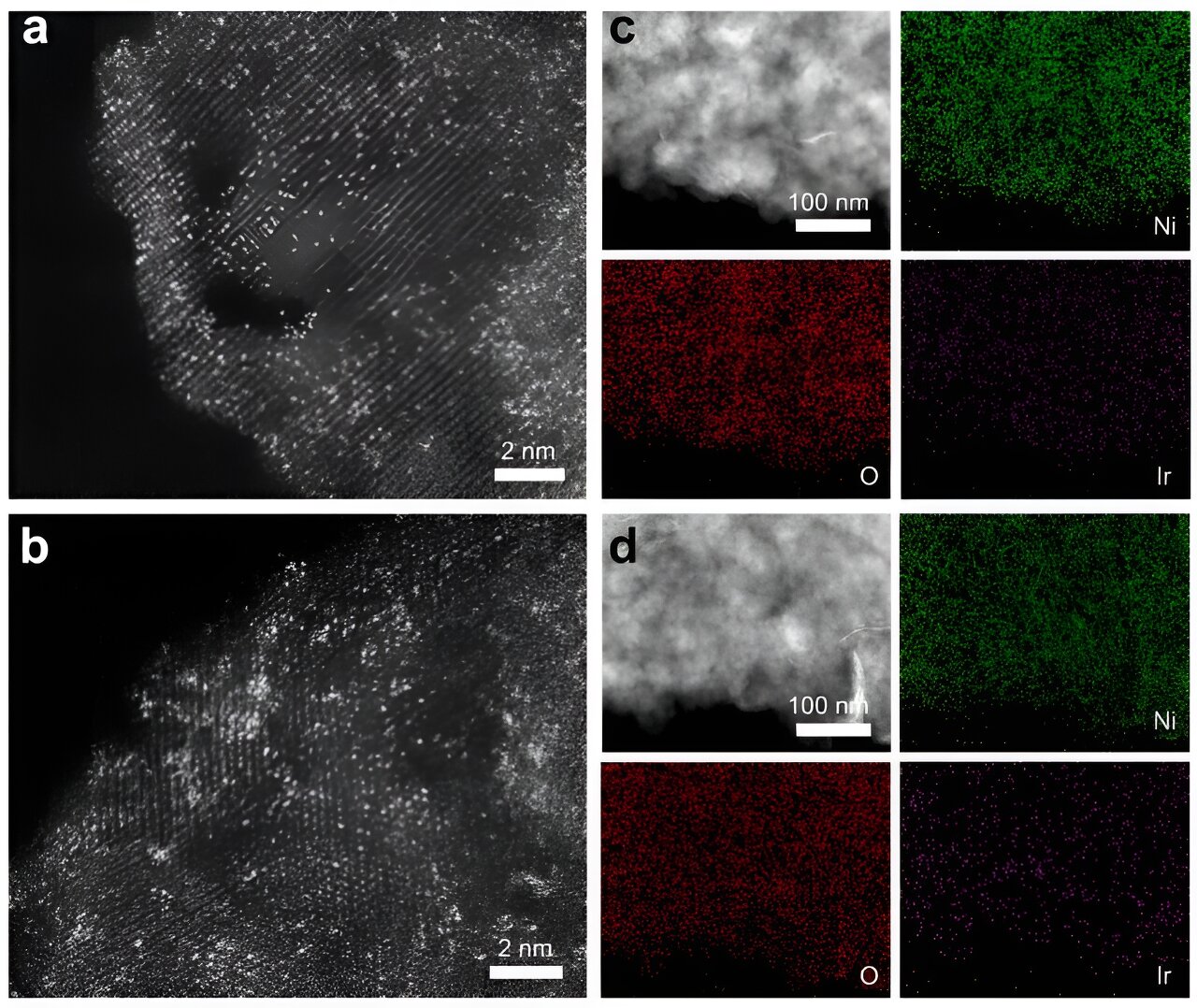 Scientists create single-atom catalysts for efficient electrooxidation of water
