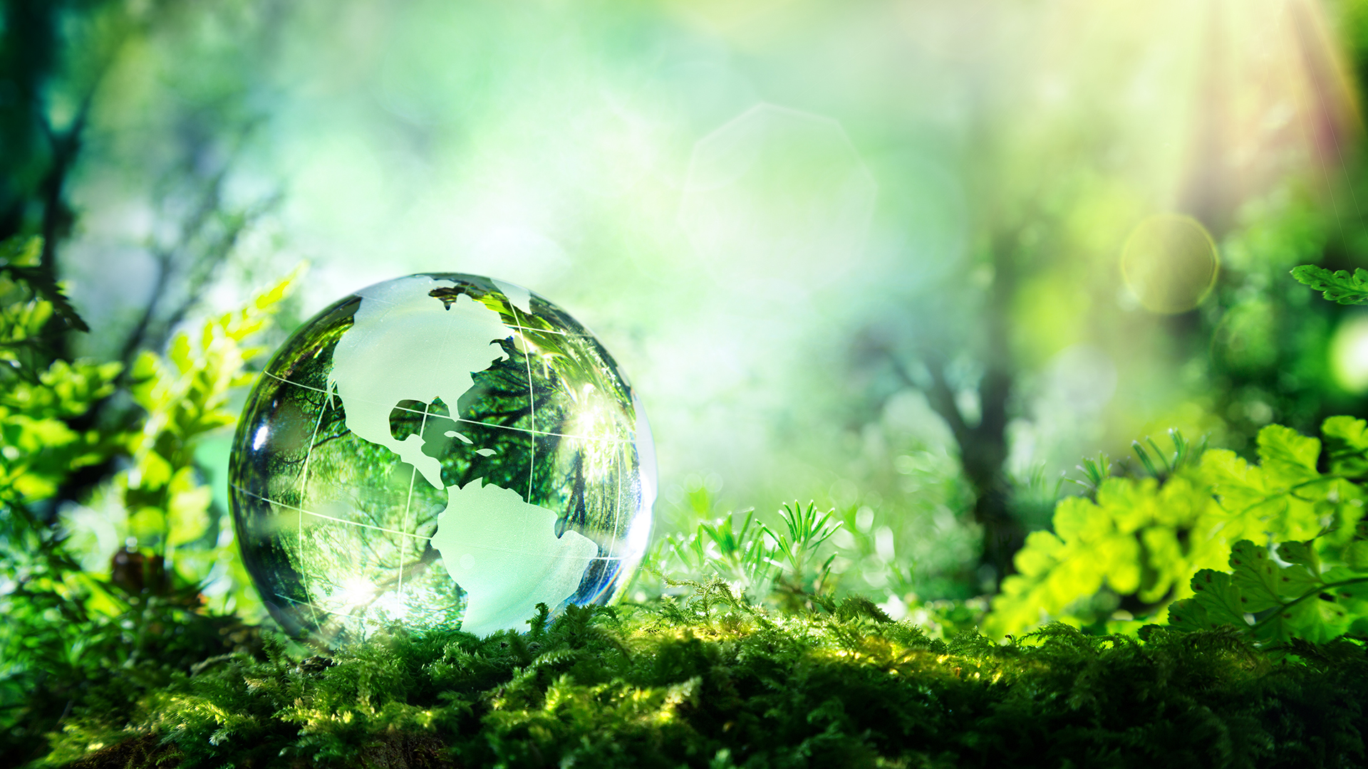 Innovative solutions to environmental and sustainability challenges