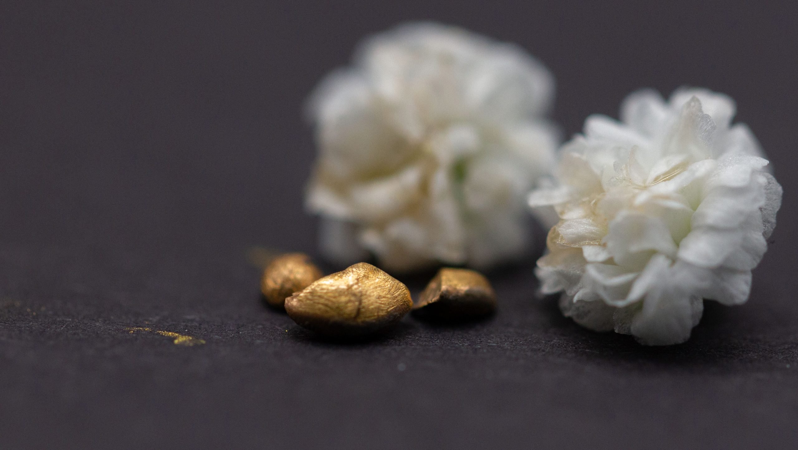 New Method Turns Electronic Waste Into Gold