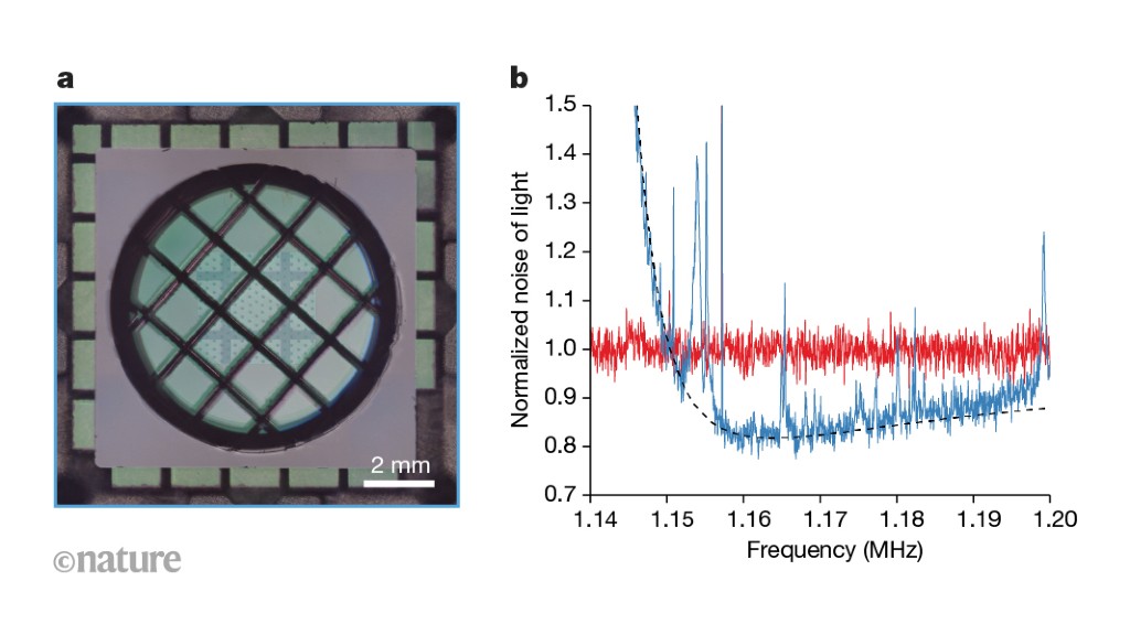 Measuring the quantum vibrations of a small drum at room temperature