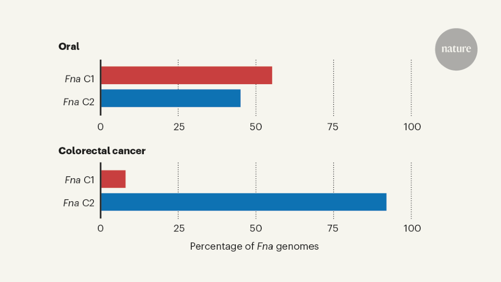 Whittling down the bacterial subspecies that might drive colon cancer