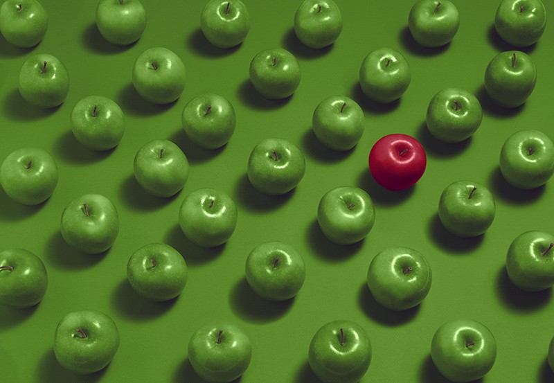an early-career researcher’s checklist for prioritizing projects