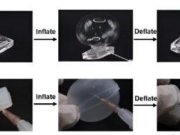 New hydrogel can stretch to 15 times its original size New hydrogel can stretch to 15 times its original size