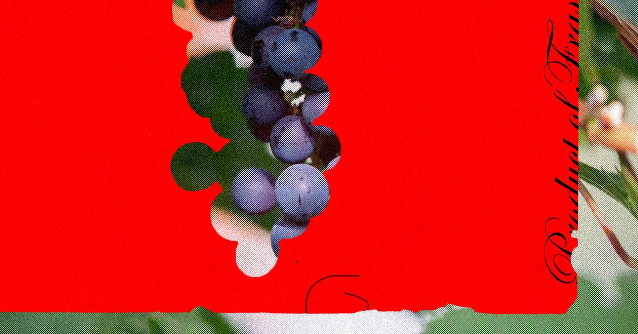 Enjoy Your Favorite Wine Before Climate Change Destroys It