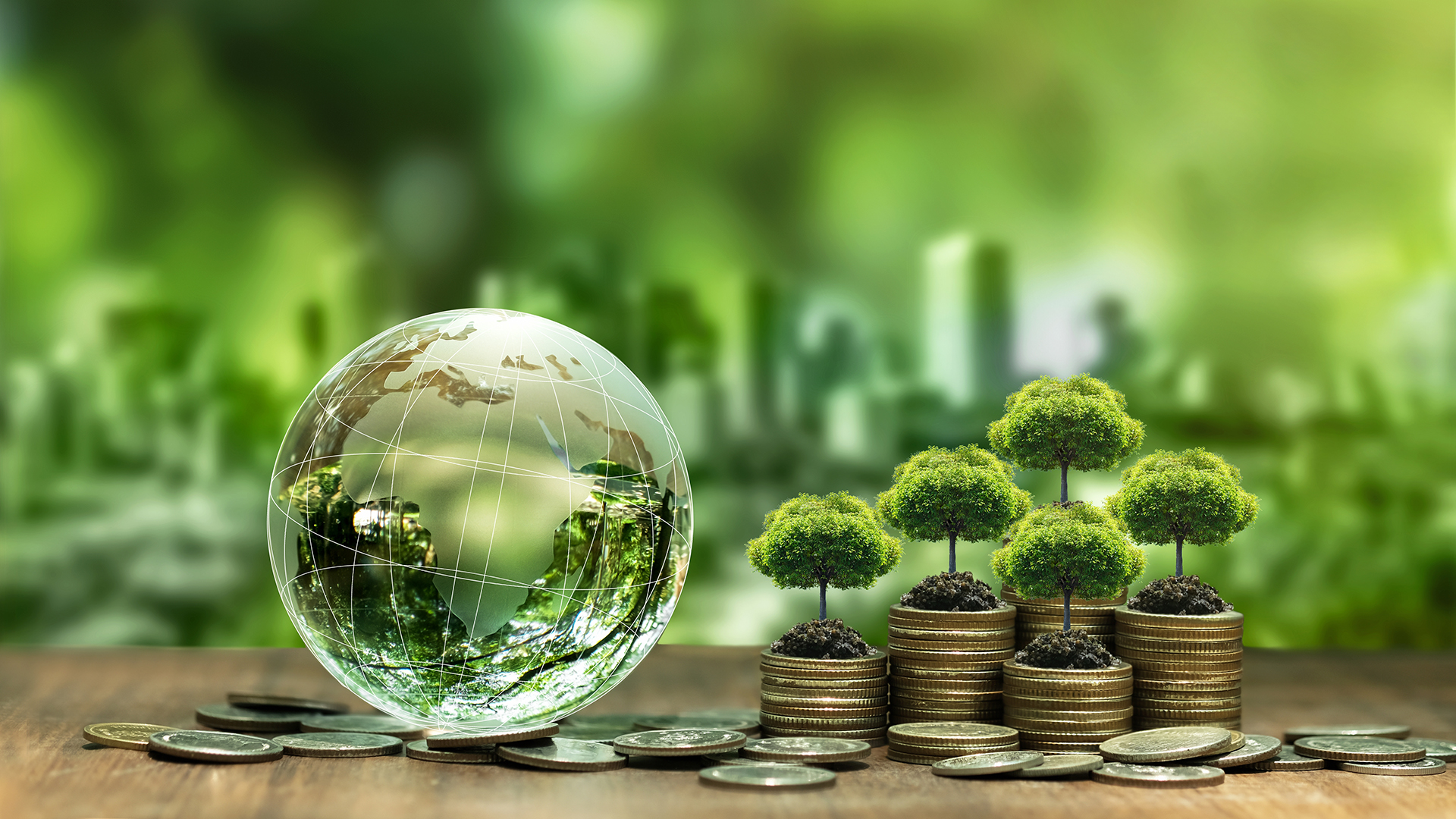 How to bridge the gap in climate finance