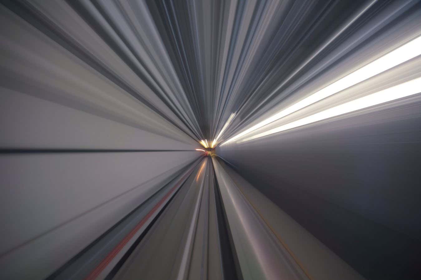 The Elephant and the Blind review: Thomas Metzinger hunts for ‘pure consciousness’