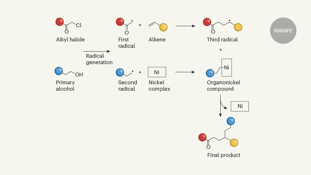 Trio of radicals choreographed for versatile chemical reaction
