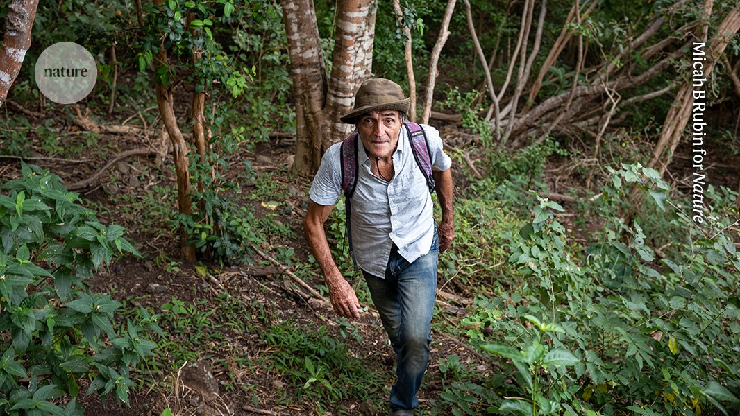 last chance to save a native forest