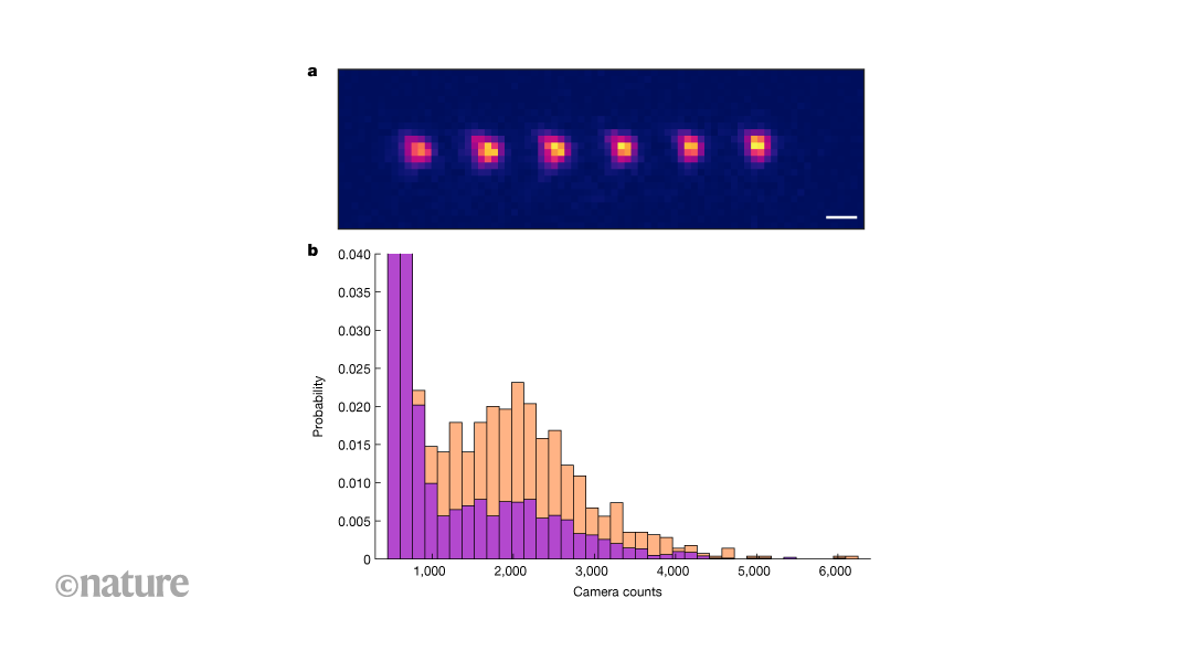 Controlling single polyatomic molecules in an optical array for quantum applications