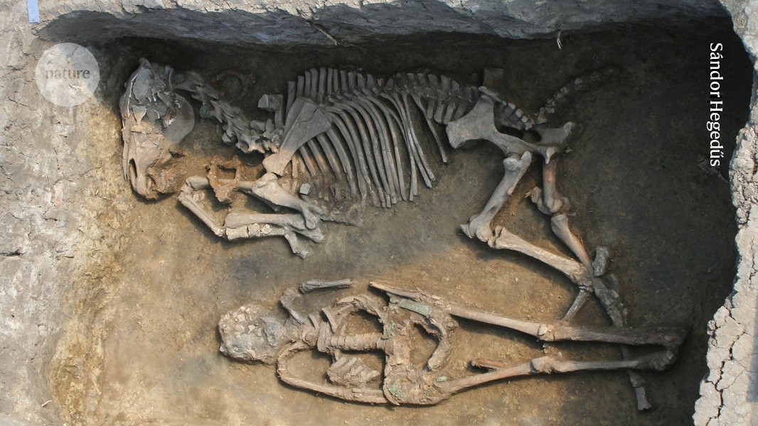 Ancient DNA traces family lines and political shifts in the Avar empire