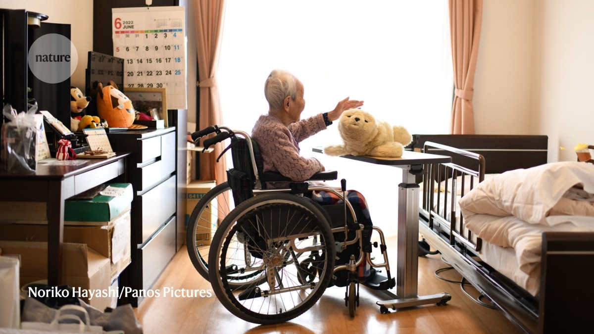 Are robots the solution to the crisis in older-person care?