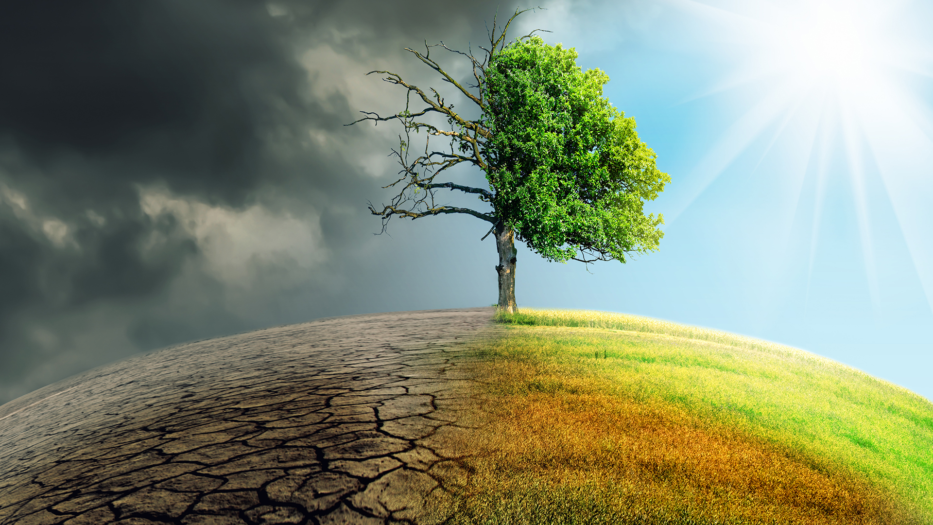 European climate risks have reached critical levels, says EEA