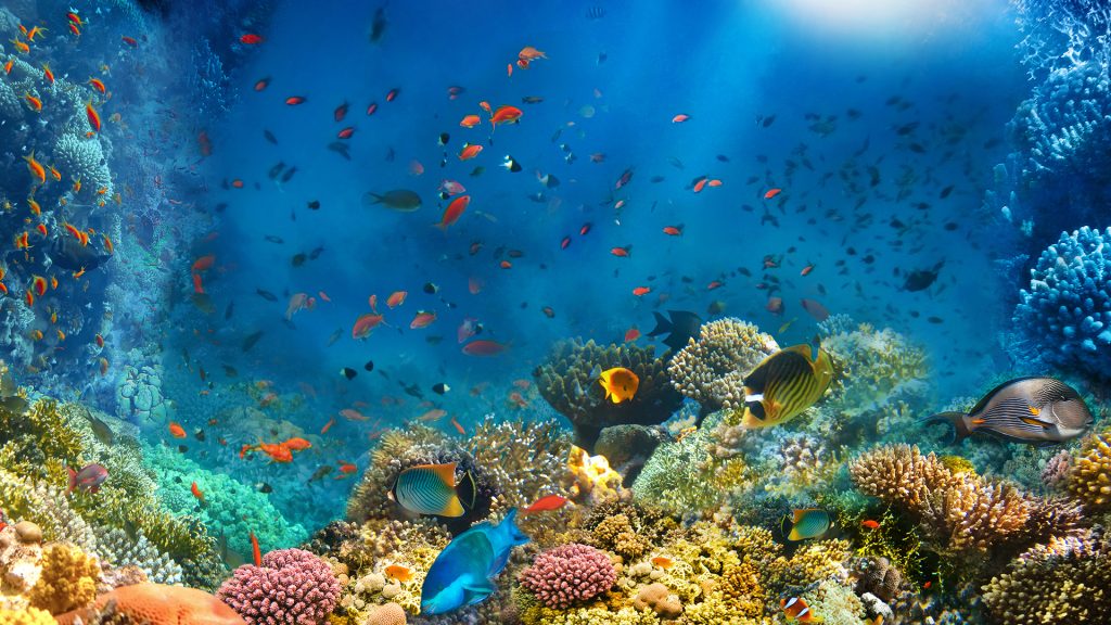 Working for the benefit of the marine environment