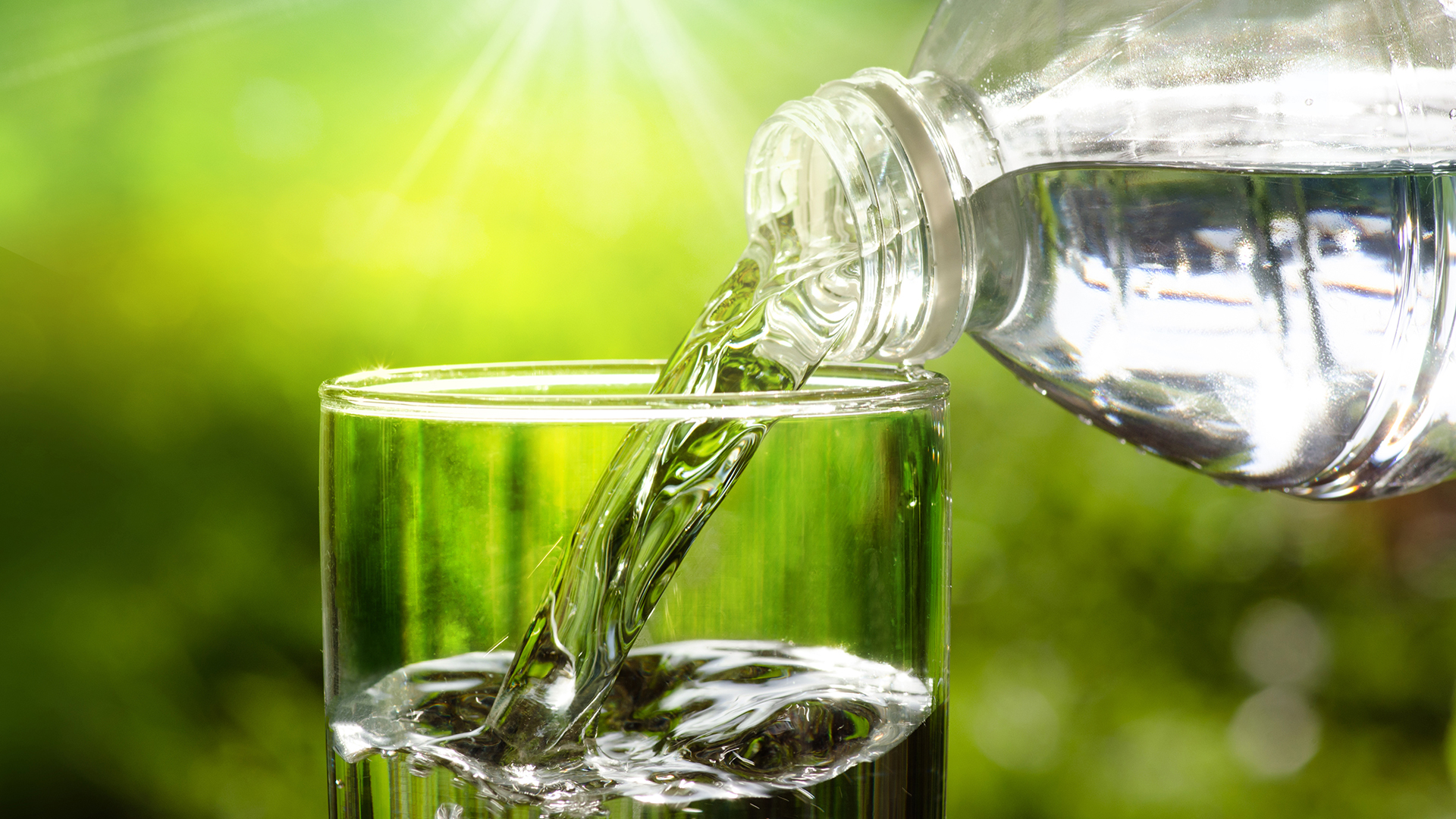 Tackling water pollution in the UK