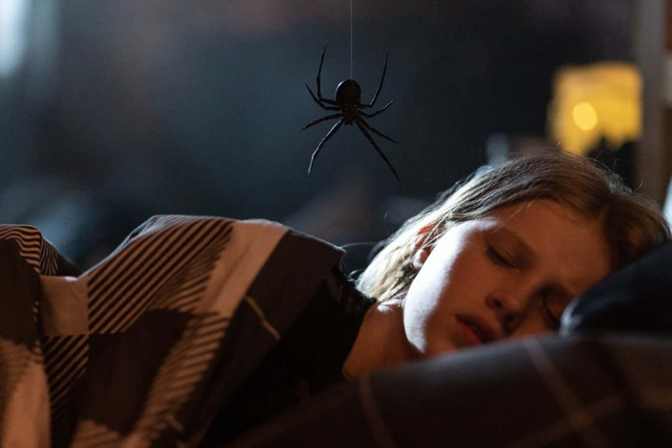 Sting review: Fast-growing spider becomes the pet from hell in gripping chiller