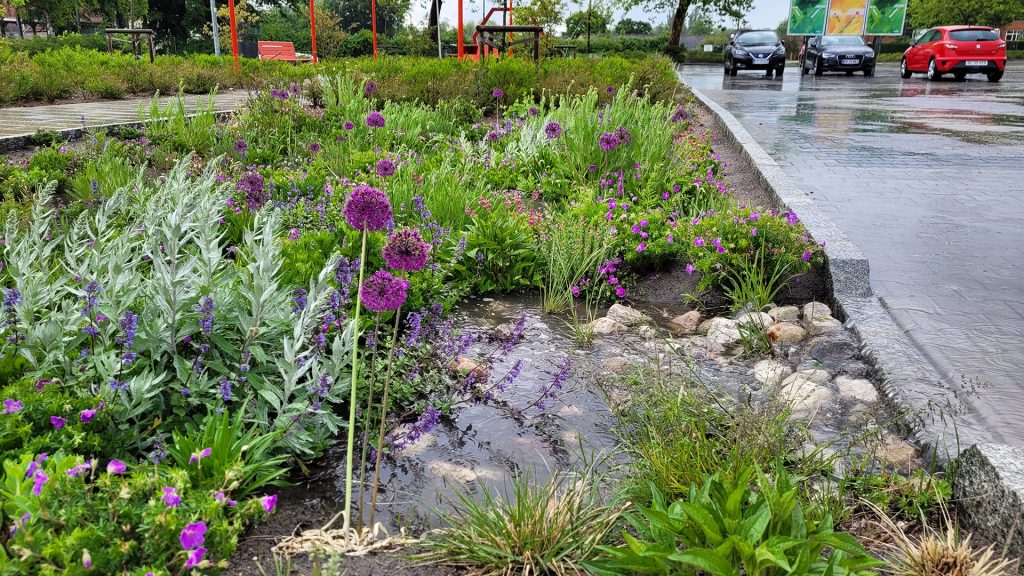 Why the stormwater runoff matters