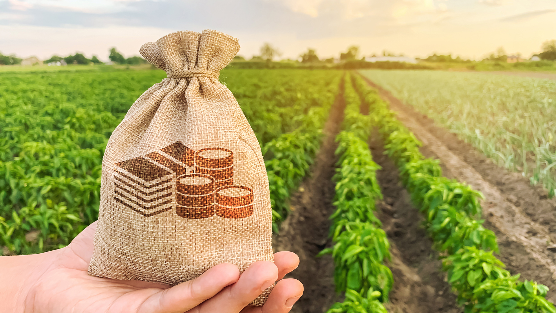 Sustainability impacts of agricultural trade policies on local communities