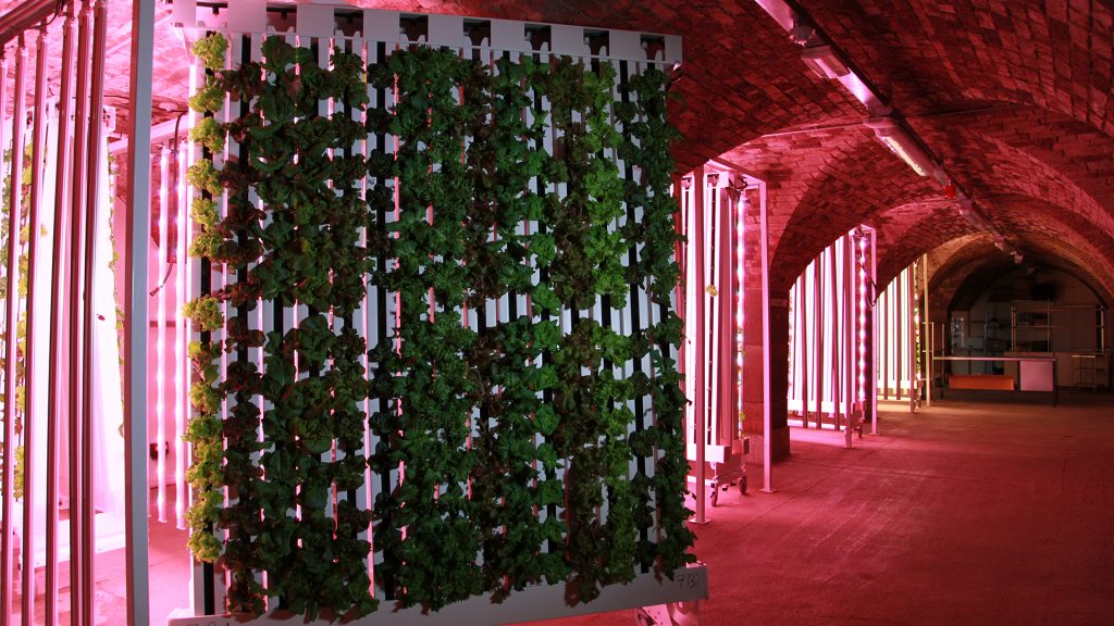 Supporting sustainability in the agricultural sector