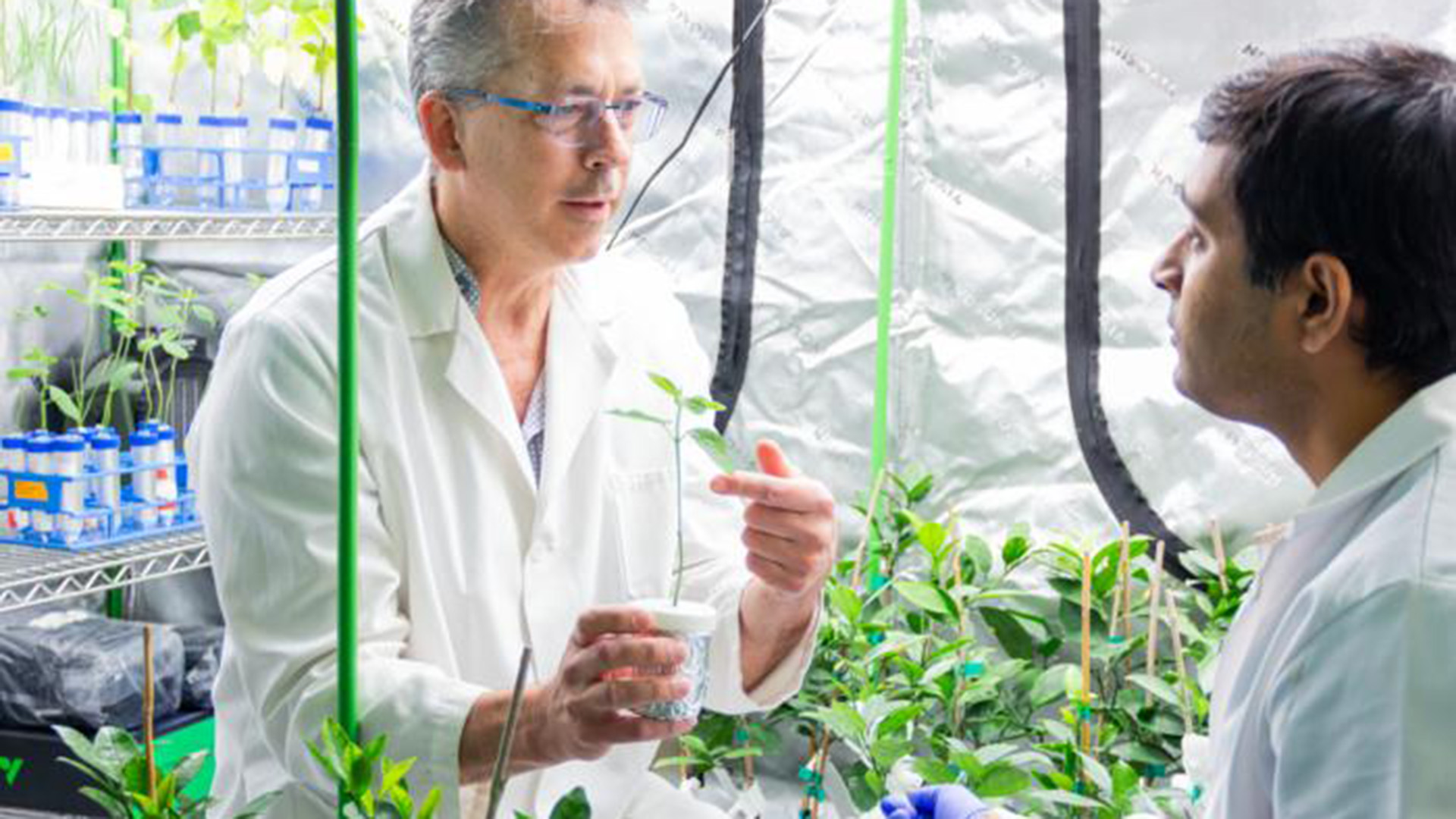 How medical models can transform agriculture