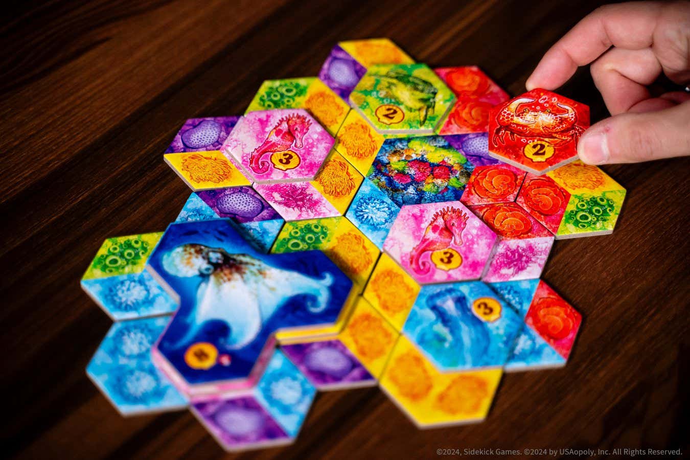 Relax with Aqua, a colourful board game about building coral reefs