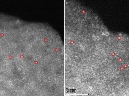 Chemists demonstrate heterogeneous catalysis for synthesis of complex molecule Chemists demonstrate heterogeneous catalysis for synthesis of complex molecule
