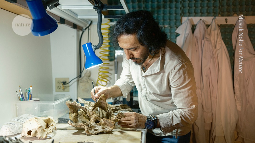 How I’ve helped to discover nearly 40 species in the Amazon