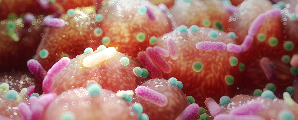Study Identifies Gut Microbe Imbalances That Predict Autism And ADHD