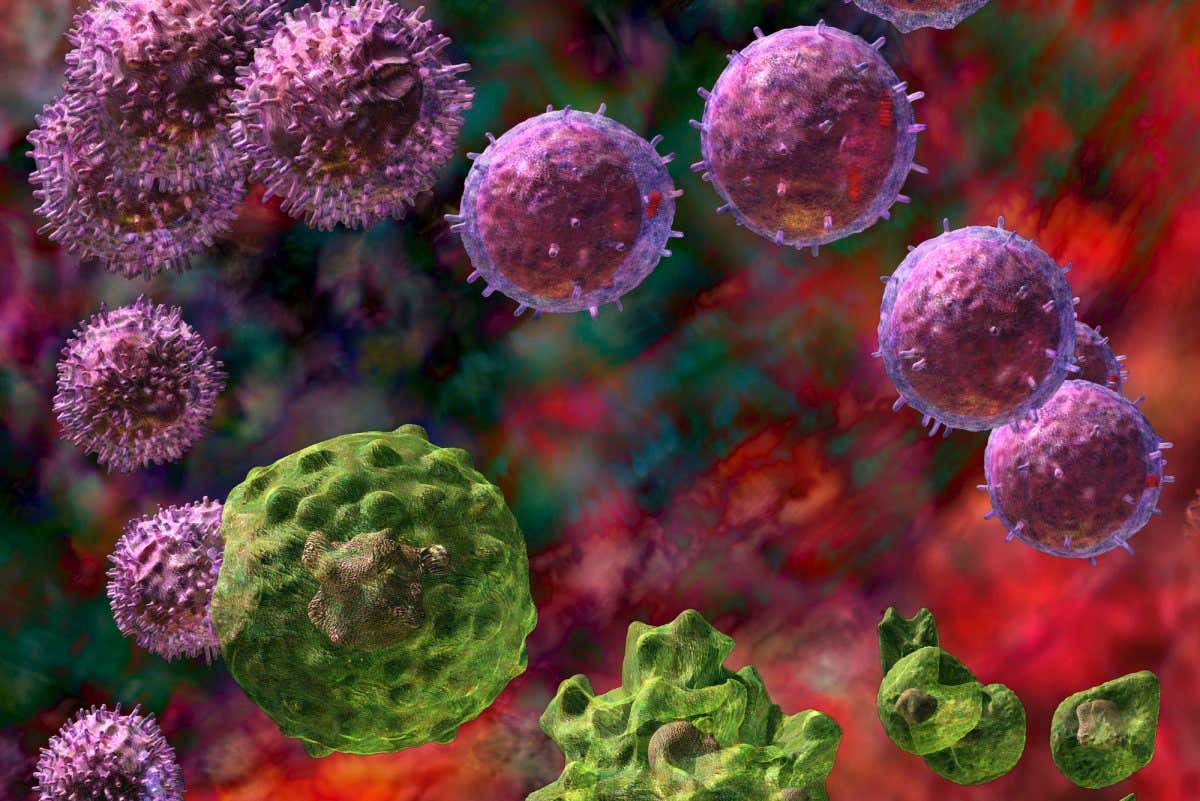 How to tell if you have a weak or strong immune system