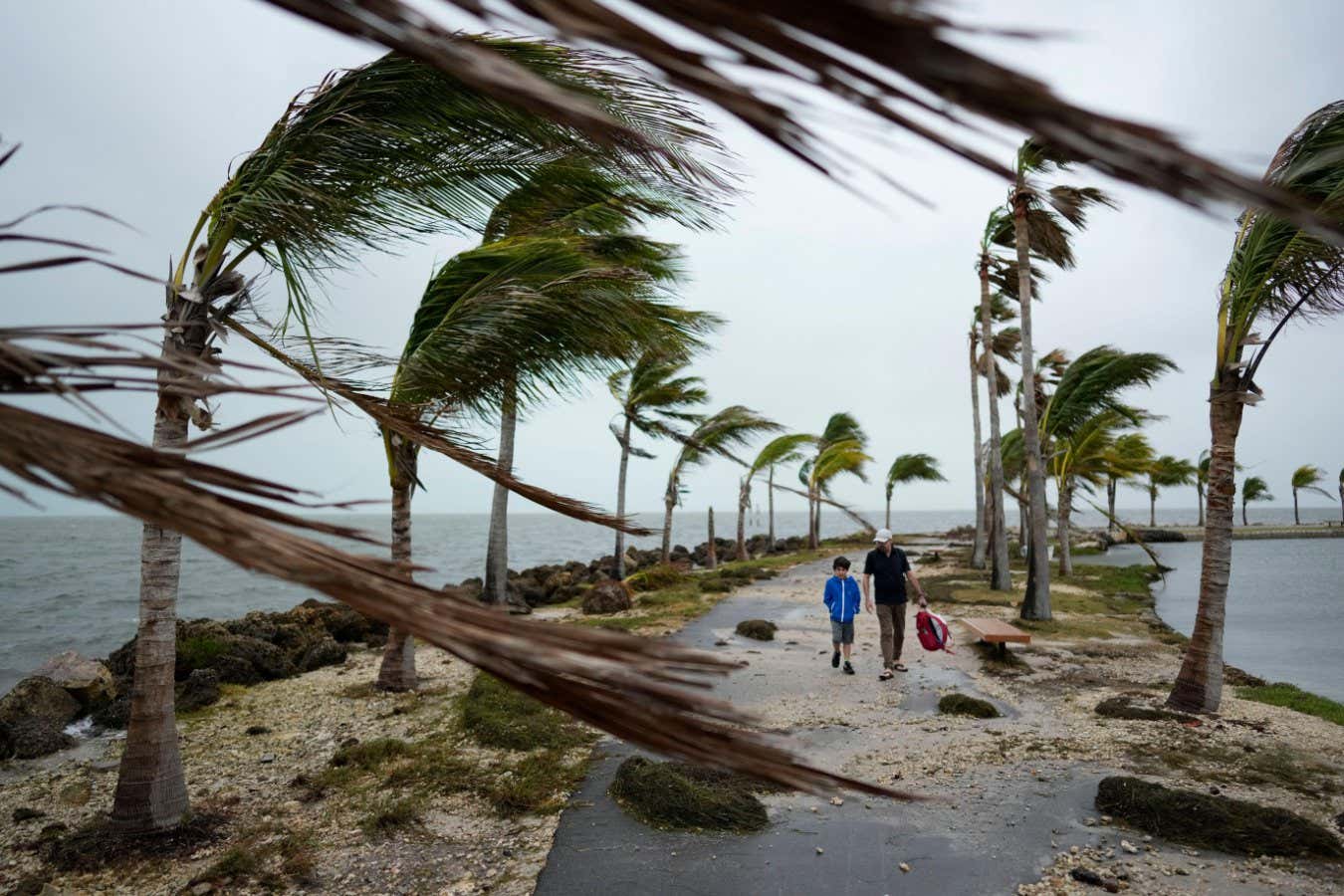 Atlantic Niña: The Atlantic is cooling at record speed and nobody knows why