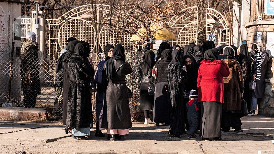The Taliban ‘took my life’ — scientists who fled takeover speak out