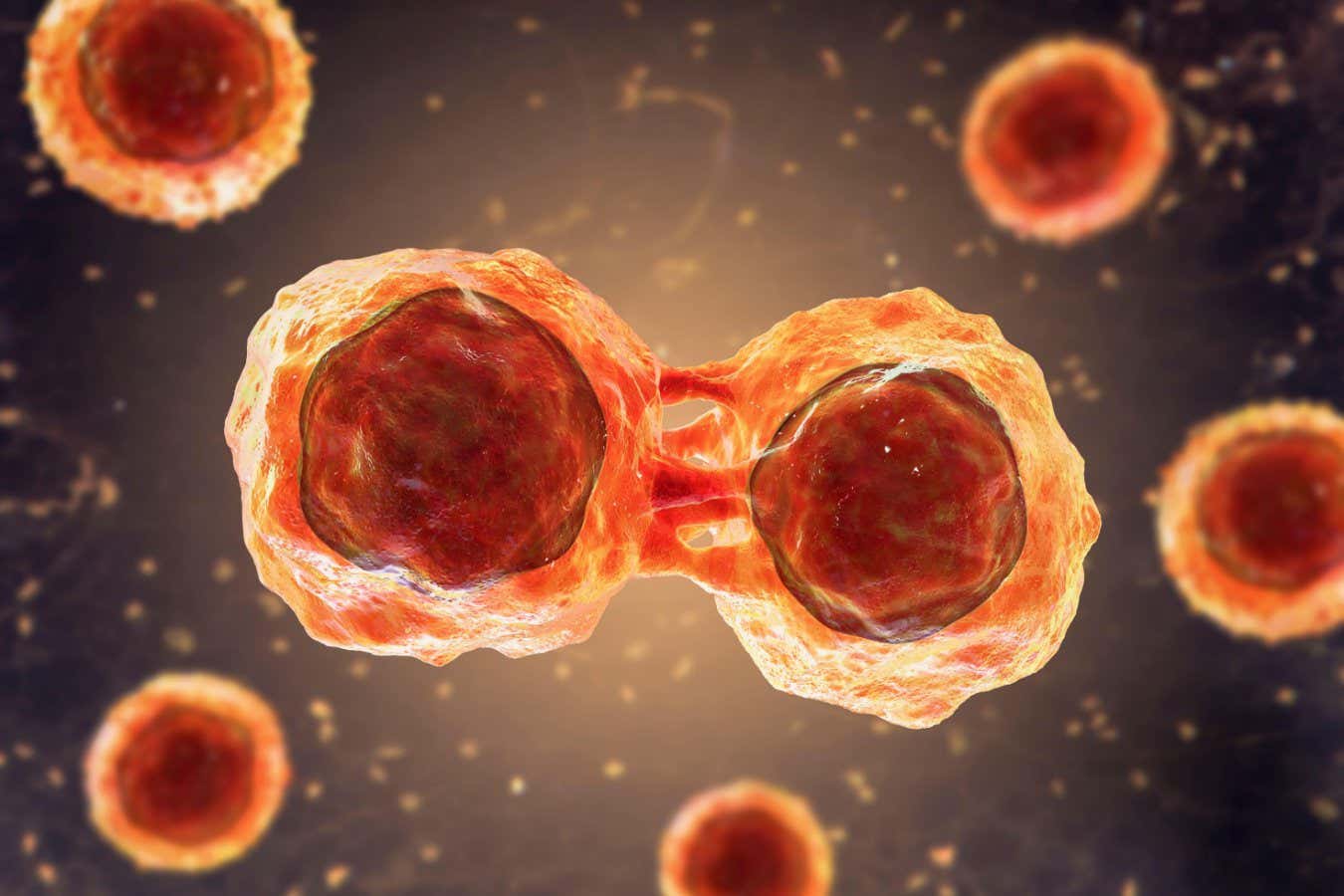 Lab-grown stem cells could be a ‘breakthrough’ for cancer treatment