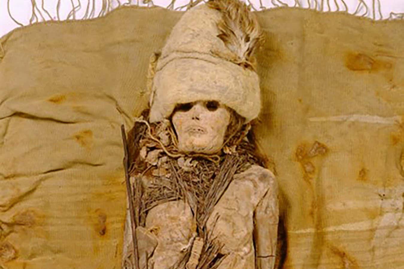 World’s oldest cheese found on 3500-year-old Chinese mummies