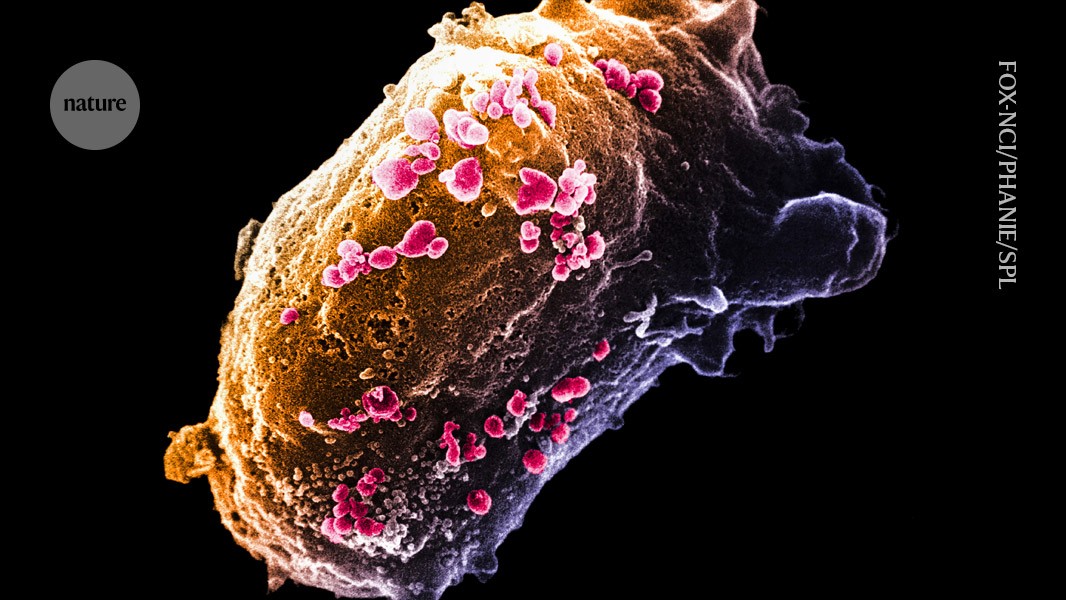 how close are we to a vaccine — or a cure?