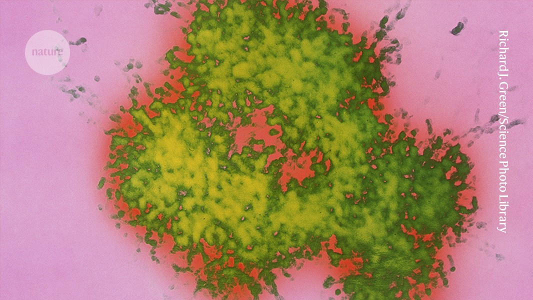 Finding the first Alzheimer’s gene