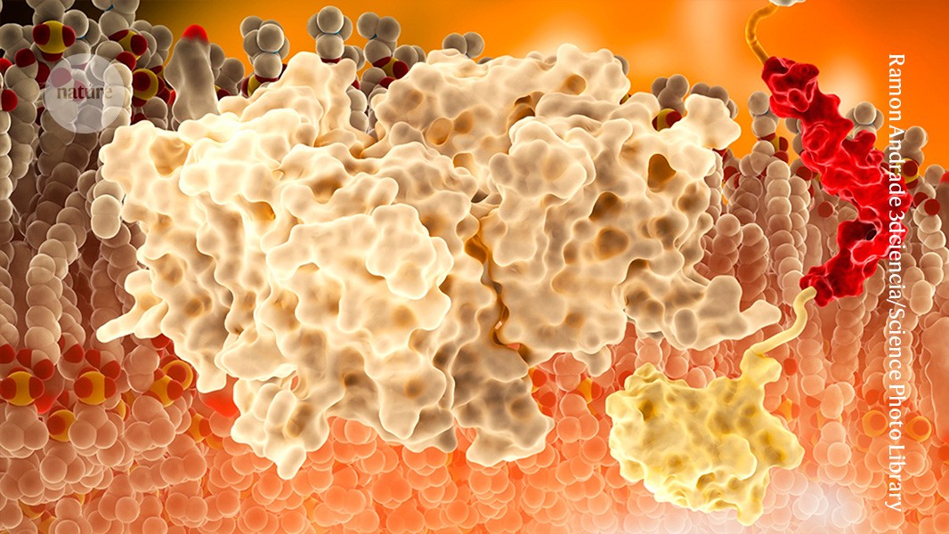 Revealing the most common cause of early-onset Alzheimer’s disease