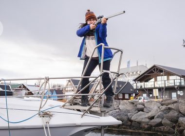 I fire darts at whales to help track their movements I fire darts at whales to help track their movements