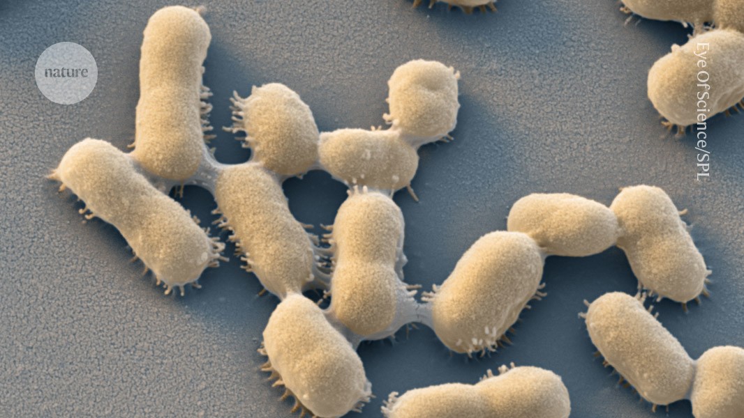 toll of drug-resistant infections to rise by 70%