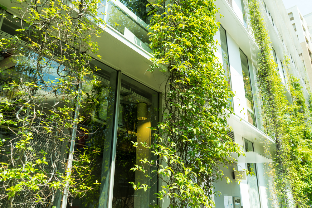 Why green spaces are key to combating heat in Global South